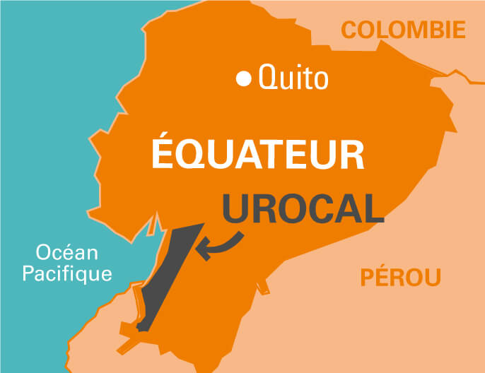 Carte coopÃ©rative UROCAL en Equateur purÃ©e fruits banane